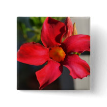 Light Within (Mandevilla) Pinback Button