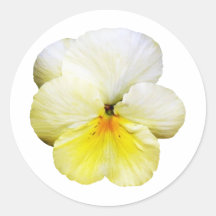 Light Yellow Pansy Stickers