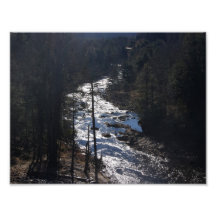 Lighted Stream 11x8.5 Photographic Print