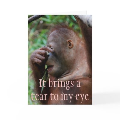 Lighthearted Female Humour About Aging Greeting Cards by Rebecca_Reeder