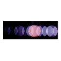 lighting Skinny Card business cards