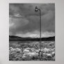 Lighting the Desert Posters