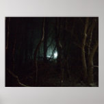 Lights in the Night posters