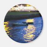 Lights of Luna Park Magnets