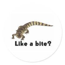 Like a Bite ALLIGATOR FROM JUNGLEWALK.COM
