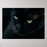 Like a black panther posters