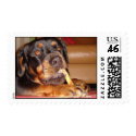 Like A Dog With A Bone postage