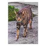 Like a Tiger Greeting Card