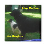 Like Mother, Like Daughter Fridge Magnets