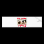 like my new puppies bumper stickers