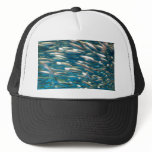 like sardines hats