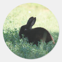 Lil Black Bunny Round Stickers