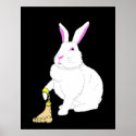 Lil Britches posters