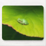 Lil' Frog Mousepad