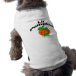 Lil Pumpkin pet clothing