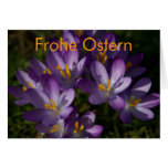 Lila Krokusse • Osterkarte cards