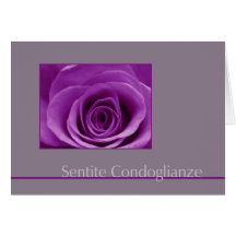 lila rose on grey sympathy card italian