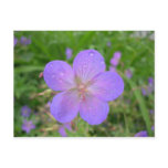 lilac Flower postcard