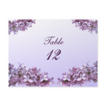 Lilac Wedding Table Number postcards