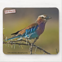 Lilacbreasted Roller mousepads