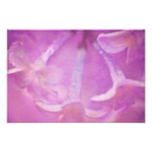 Lilacs Photo with Hearts Design