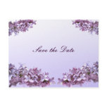 Lilacs Save the Date postcards