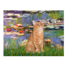 Lilies 2 - Orange Tabby cat 46 Post Cards
