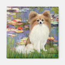 Lilies 2 - Papillon 4 Fridge Magnets