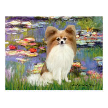 Lilies 2 - Papillon 4 Postcard