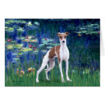 Lilies 5 - Italian Greyhound cards