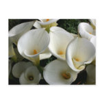 Lilies at Calla Lily Plantation, Taiwan postcards