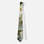 Lilies at Calla Lily Plantation, Taiwan ties