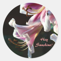 Lilies Flowers stickers Hey Sunshine! Floral