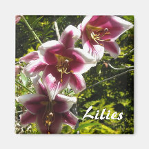 Lilies Fridge Magnet