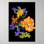 Lilies, irises and grapes posters