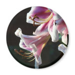 Lilies magnet Pink Lily Flowers magnets gifts