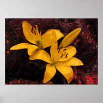 Lilies on Paisley