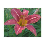 Lilies postcards
