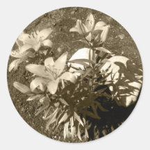 Lilies Stickers