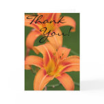 Lilies - Thank You! Greeting Cards