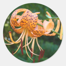 LILIES Tiger LILY FLOWERS STICKERS STICKER SHEETS