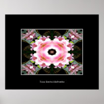 Lilies (w/ Warp Special Effect ) Print
