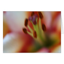 Lilies - "What Sunshine is to Flowers" Greeting Card