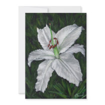 lilium casa blanca custom invites