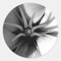 Lilium's Birth Round Stickers