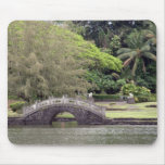 Lili'uokalani Park Bridge Mousepad