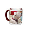 LillieHandshake mugs