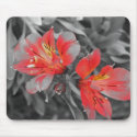 Lillies Black & White mousepads