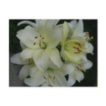 Lillies postcards
