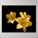 Lillies Poster